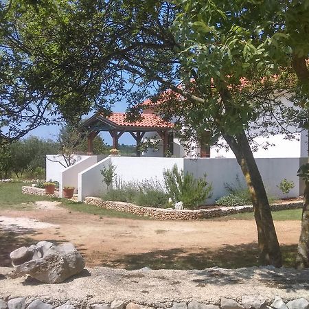 Villa House Soni - 800 M From The Sea Rovinj Exterior foto