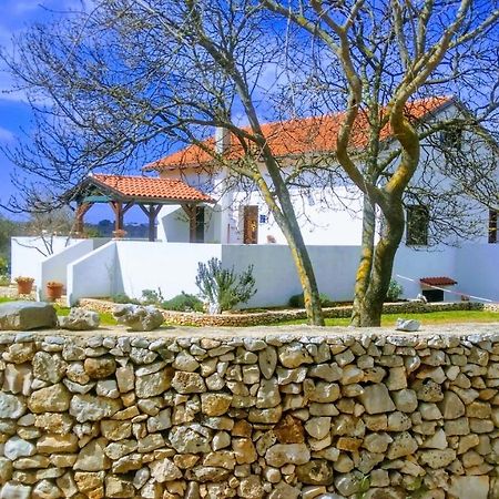 Villa House Soni - 800 M From The Sea Rovinj Exterior foto