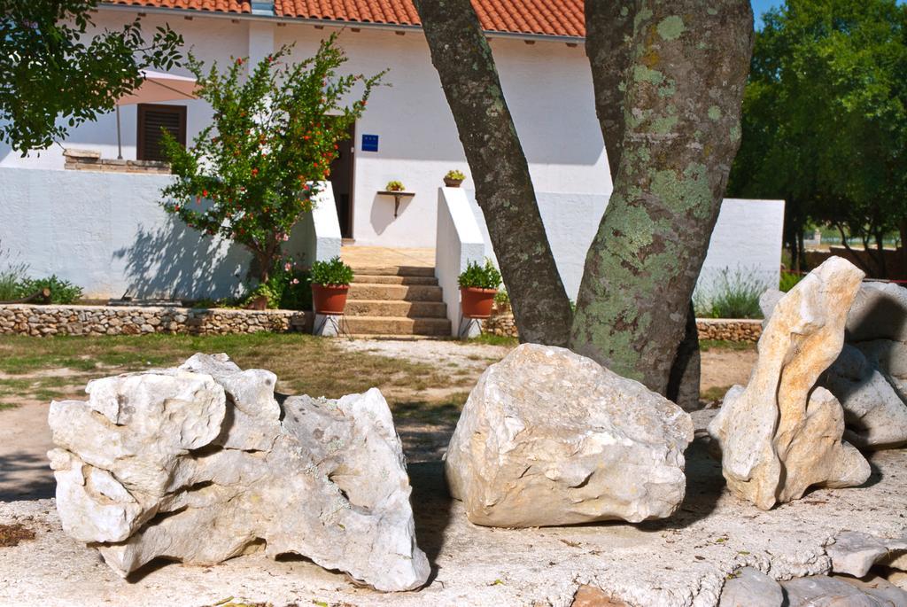 Villa House Soni - 800 M From The Sea Rovinj Exterior foto