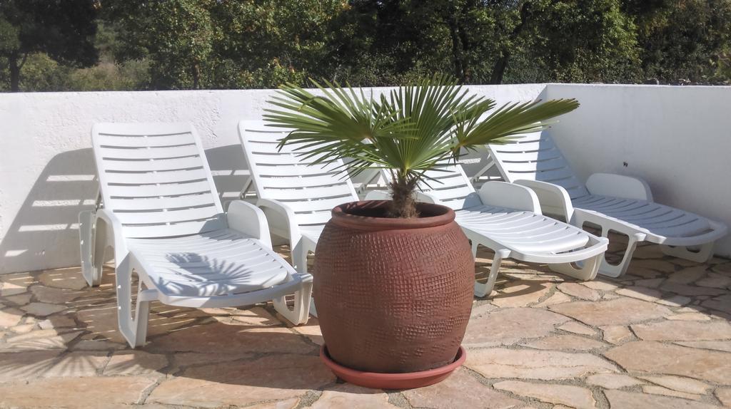 Villa House Soni - 800 M From The Sea Rovinj Exterior foto