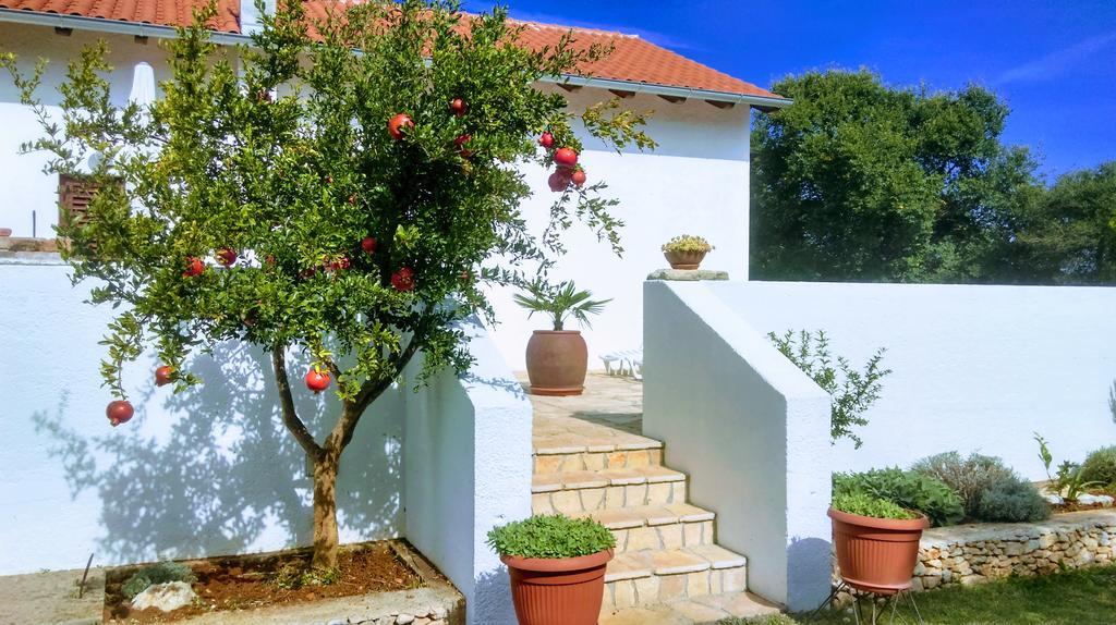 Villa House Soni - 800 M From The Sea Rovinj Exterior foto